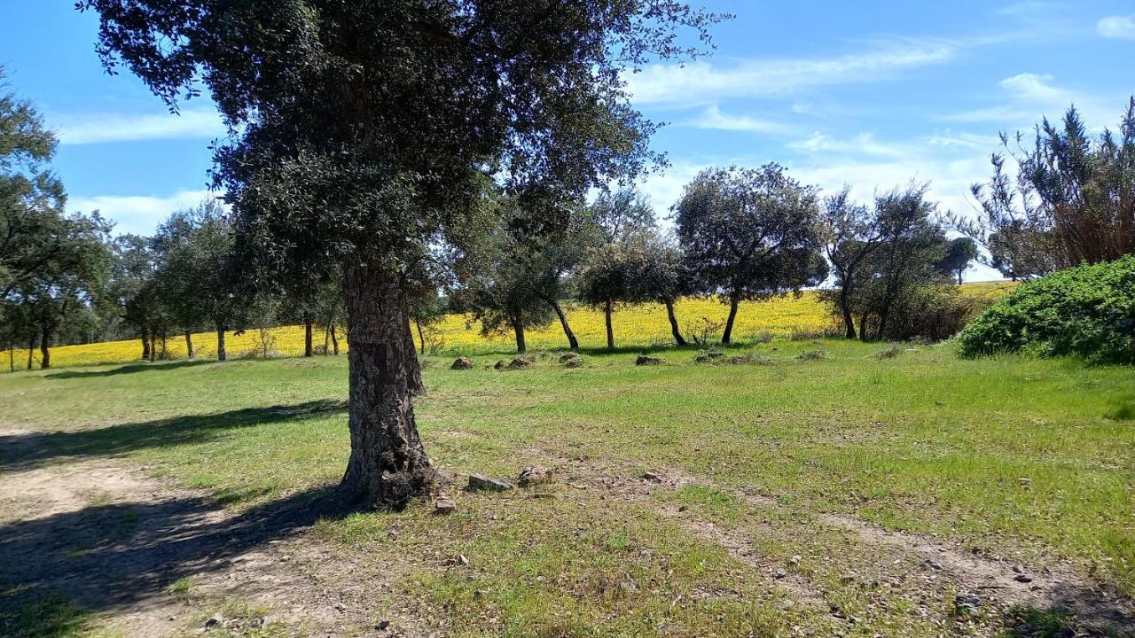 Monte Da Serralheira Agro Turismo Эвора Экстерьер фото