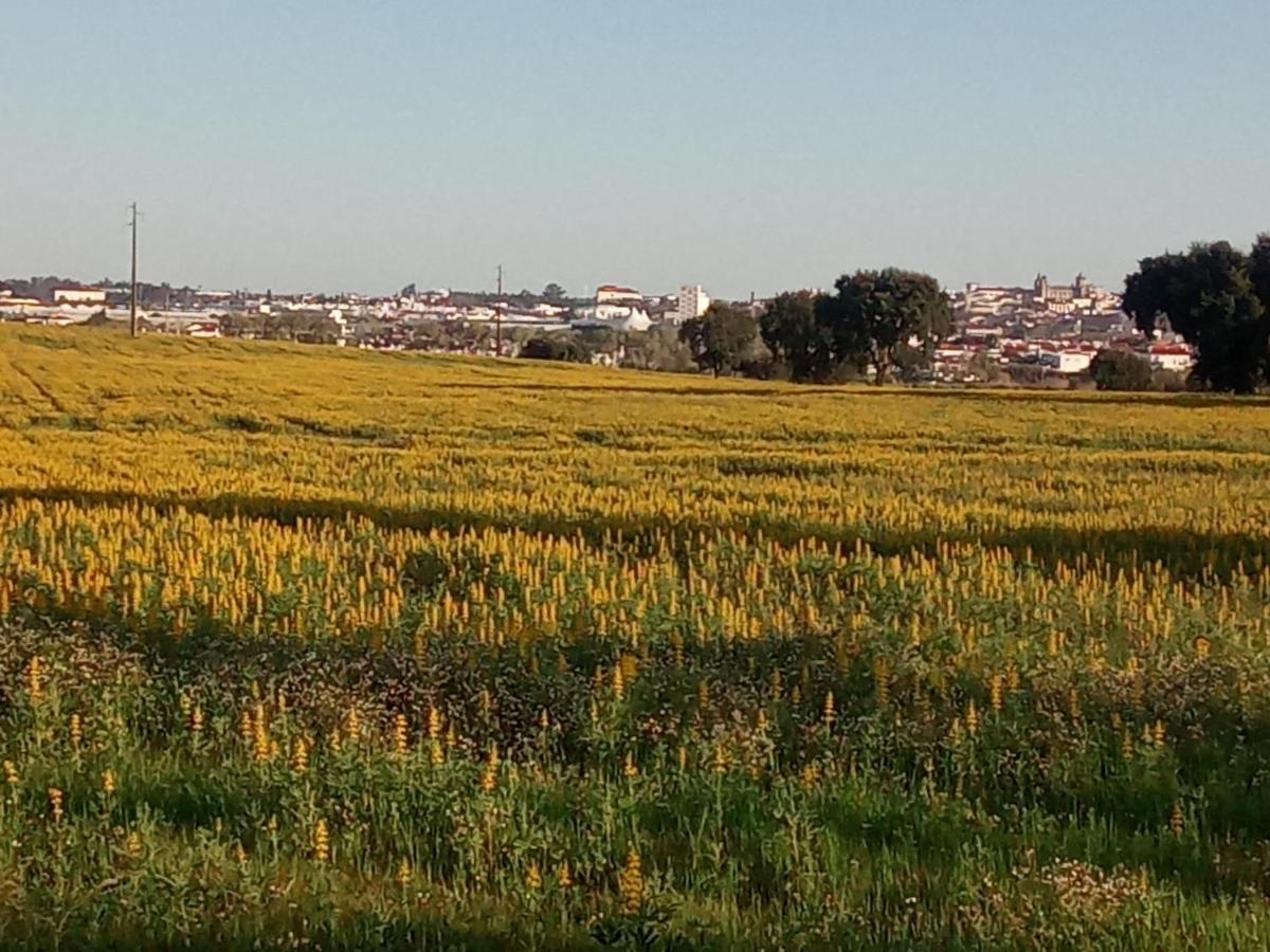 Monte Da Serralheira Agro Turismo Эвора Экстерьер фото