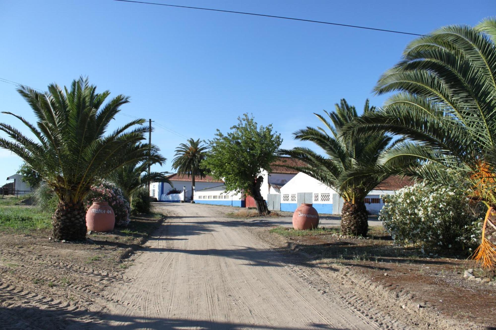 Monte Da Serralheira Agro Turismo Эвора Экстерьер фото