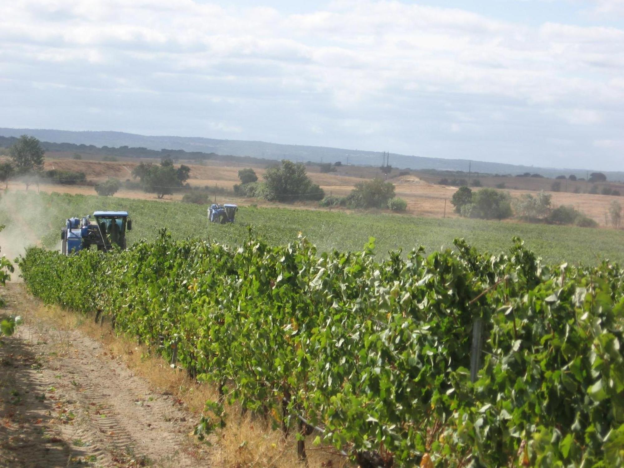 Monte Da Serralheira Agro Turismo Эвора Экстерьер фото
