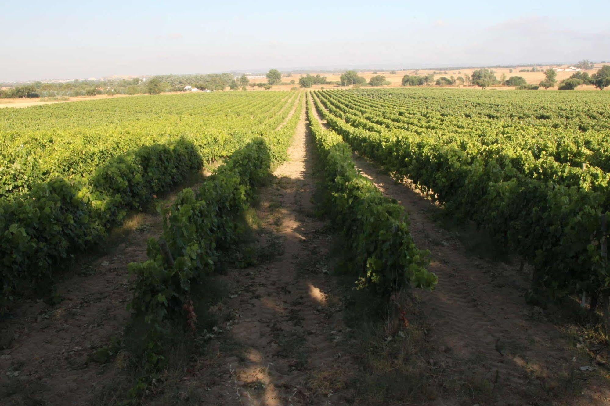 Monte Da Serralheira Agro Turismo Эвора Экстерьер фото